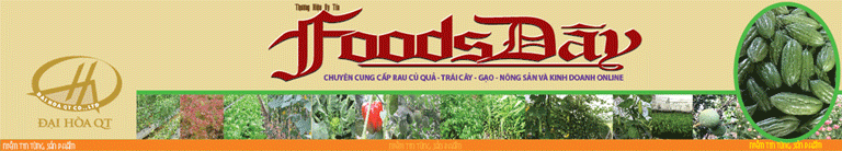 Đại Hòa QT