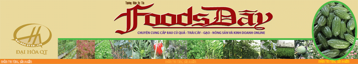 Đại Hòa QT