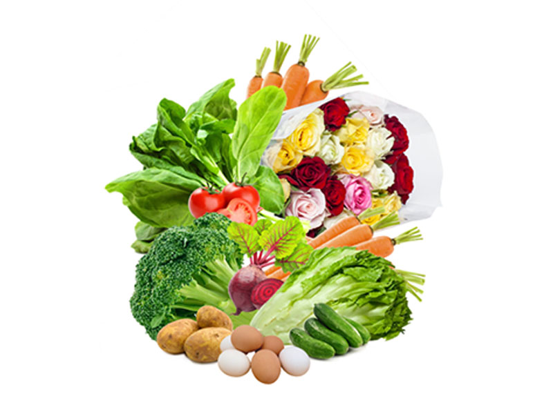 Vegetable combo week 02
