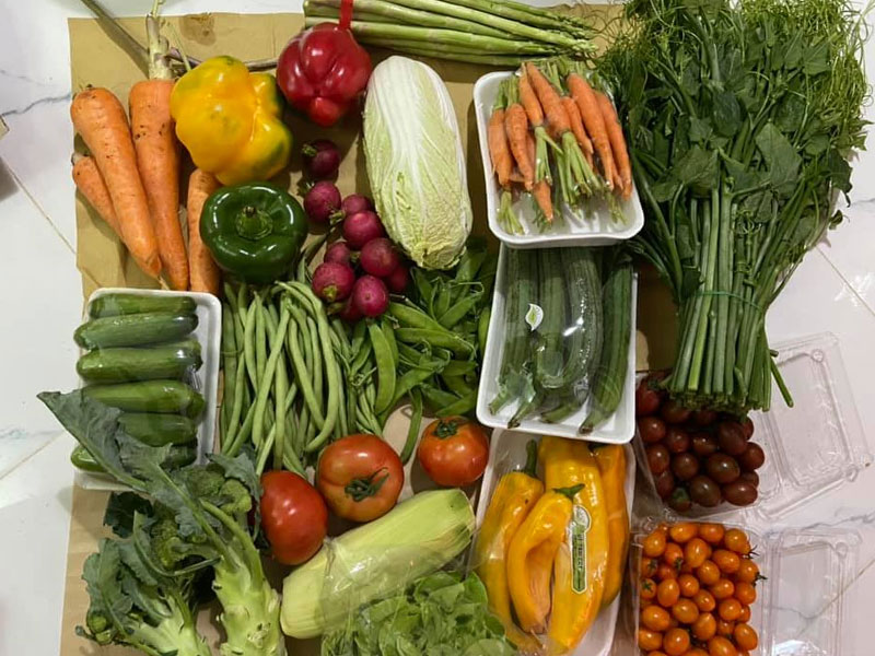 Vegetable combo week 05